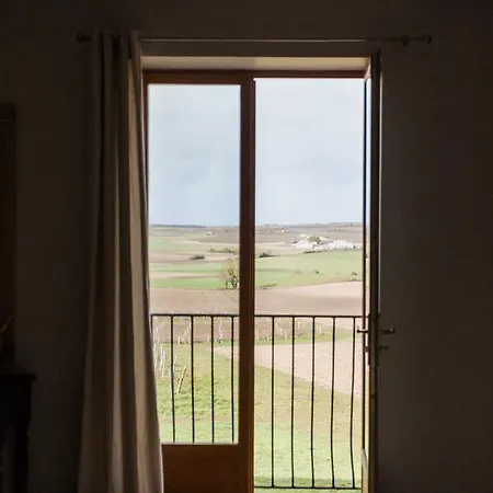 La Vue , Angouleme And Cognac, Charente, Bordeaux * Birac (Charente)