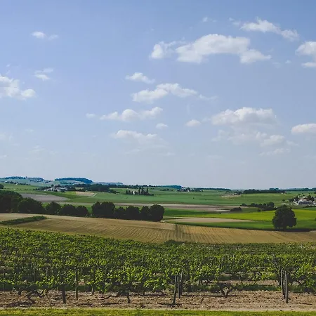 La Vue , Angouleme And Cognac, Charente, Bordeaux