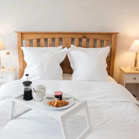 La Vue , Angouleme And Cognac, Charente, Bordeaux Birac (Charente)