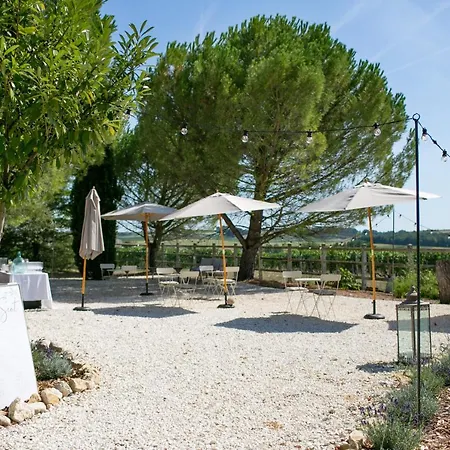 La Vue , Angouleme And Cognac, Charente, Bordeaux * Birac (Charente)