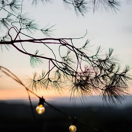 La Vue , Angouleme And Cognac, Charente, Bordeaux Hotell
