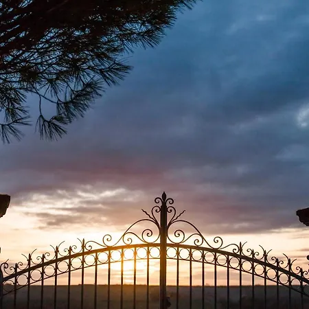 La Vue , Angouleme And Cognac, Charente, Bordeaux