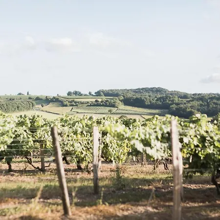La Vue , Angouleme And Cognac, Charente, Bordeaux *